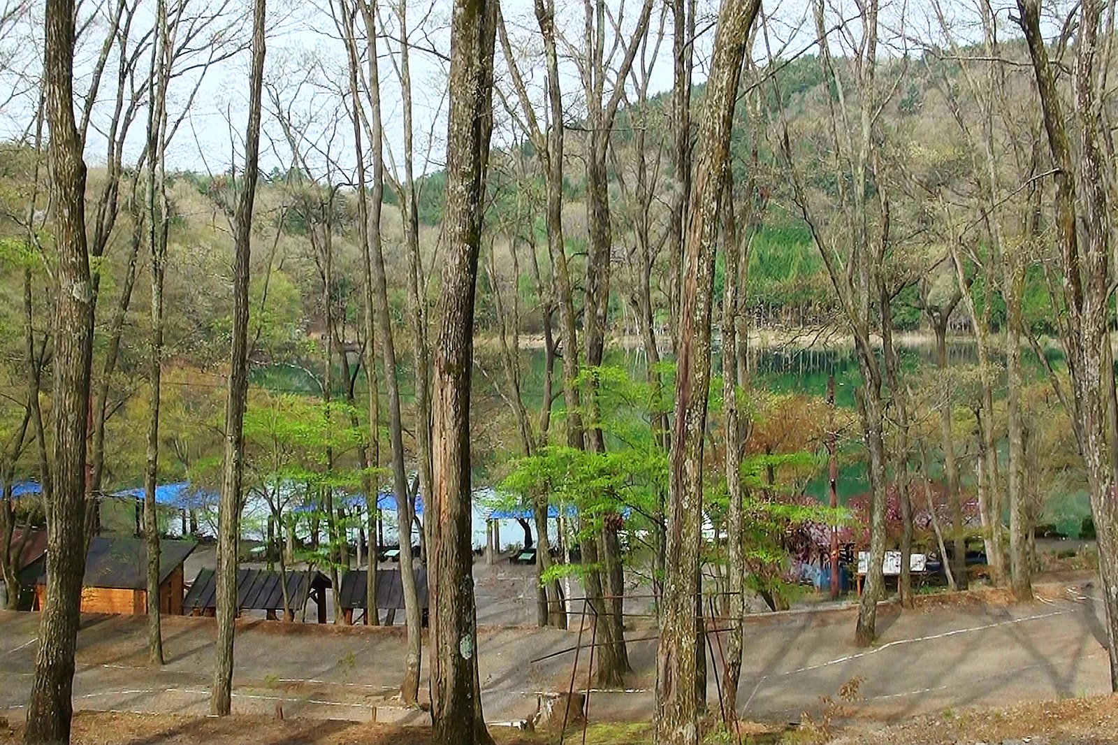 山梨県のキャンプ場「四尾連湖 水明荘 キャンプ場」