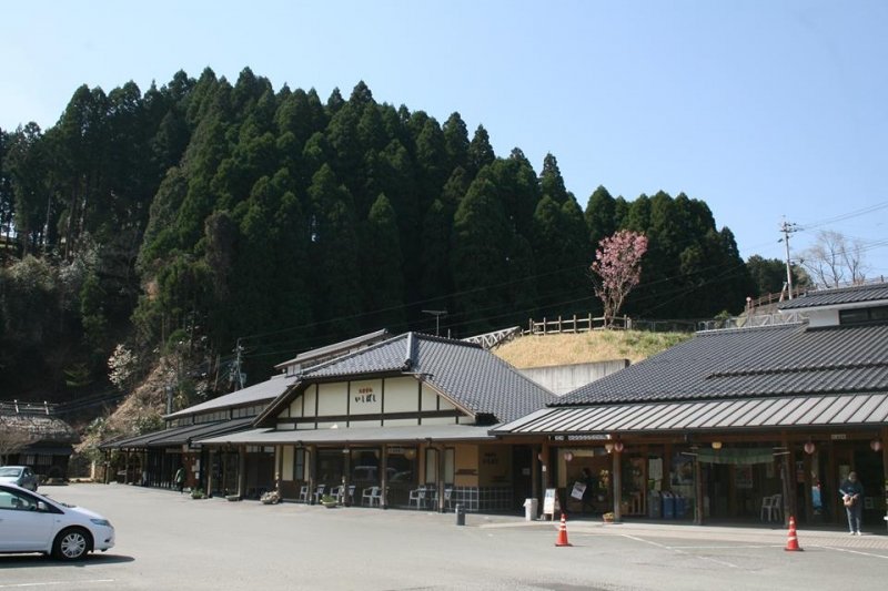 熊本県の道の駅「道の駅「通潤橋」」